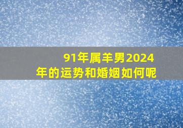 91年属羊男2024年的运势和婚姻如何呢