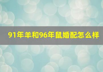 91年羊和96年鼠婚配怎么样