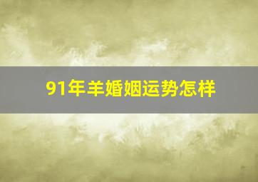 91年羊婚姻运势怎样