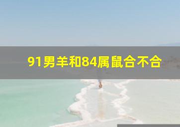 91男羊和84属鼠合不合