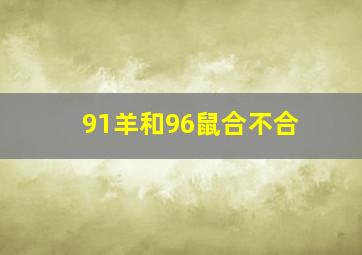 91羊和96鼠合不合