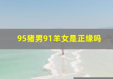 95猪男91羊女是正缘吗