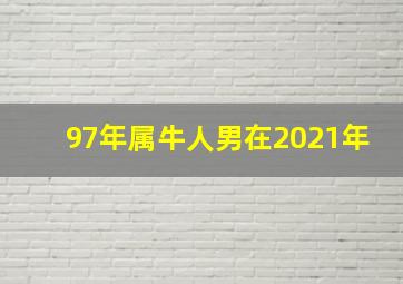 97年属牛人男在2021年