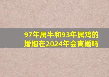 97年属牛和93年属鸡的婚姻在2024年会离婚吗