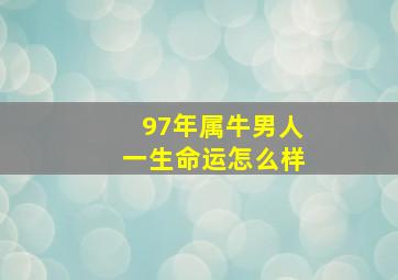 97年属牛男人一生命运怎么样