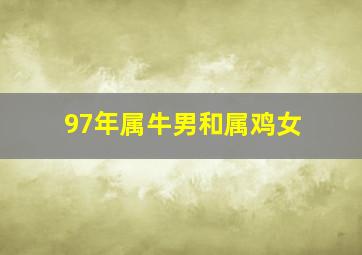 97年属牛男和属鸡女