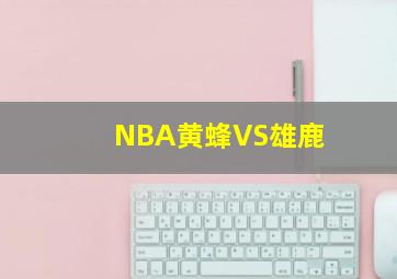 NBA黄蜂VS雄鹿