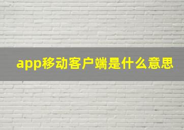 app移动客户端是什么意思