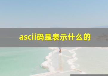 ascii码是表示什么的