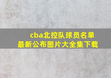 cba北控队球员名单最新公布图片大全集下载