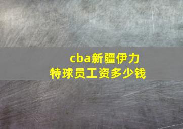 cba新疆伊力特球员工资多少钱