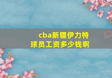 cba新疆伊力特球员工资多少钱啊