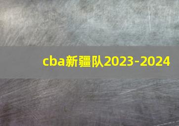 cba新疆队2023-2024