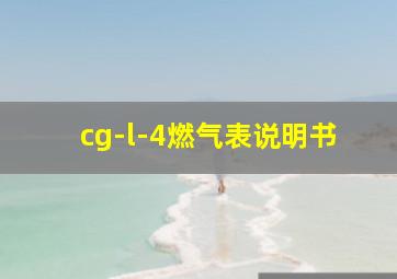 cg-l-4燃气表说明书