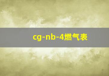 cg-nb-4燃气表