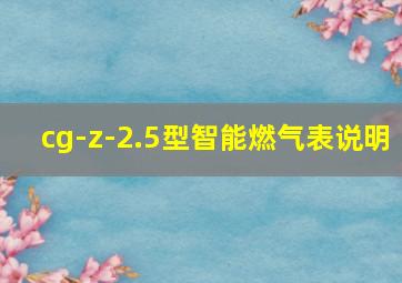 cg-z-2.5型智能燃气表说明