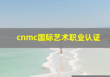 cnmc国际艺术职业认证