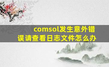 comsol发生意外错误请查看日志文件怎么办