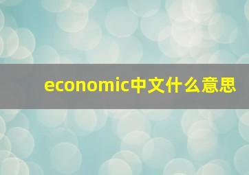 economic中文什么意思