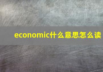 economic什么意思怎么读