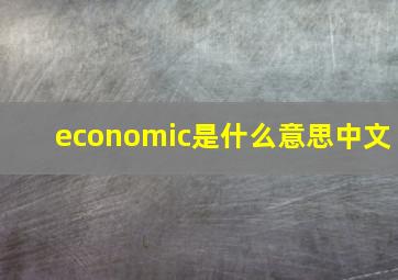 economic是什么意思中文