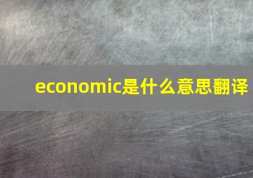 economic是什么意思翻译