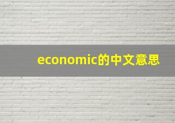 economic的中文意思