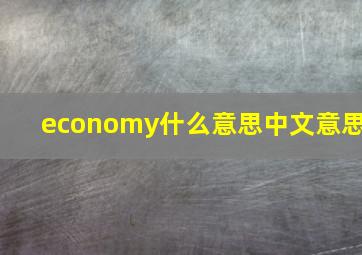 economy什么意思中文意思