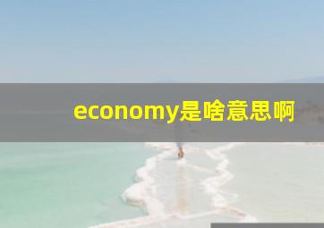 economy是啥意思啊