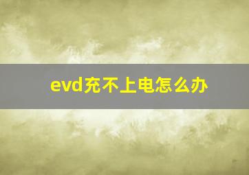 evd充不上电怎么办