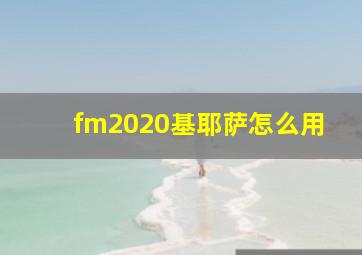 fm2020基耶萨怎么用