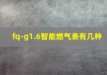 fq-g1.6智能燃气表有几种