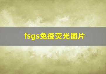 fsgs免疫荧光图片