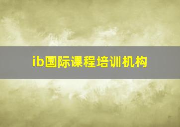 ib国际课程培训机构