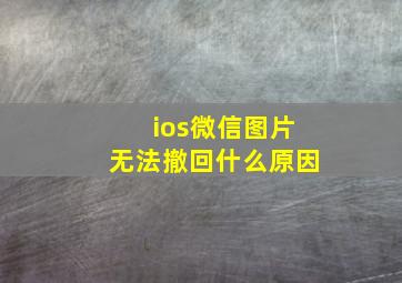 ios微信图片无法撤回什么原因