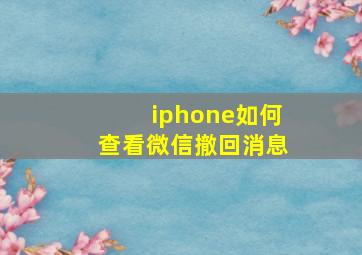 iphone如何查看微信撤回消息