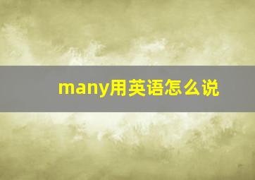 many用英语怎么说