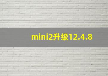 mini2升级12.4.8