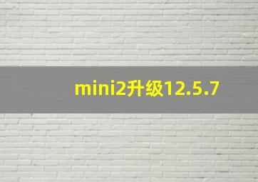 mini2升级12.5.7