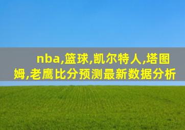 nba,篮球,凯尔特人,塔图姆,老鹰比分预测最新数据分析