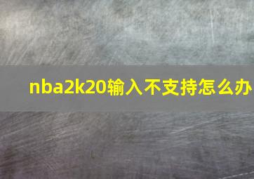 nba2k20输入不支持怎么办