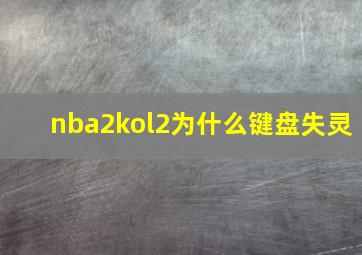 nba2kol2为什么键盘失灵