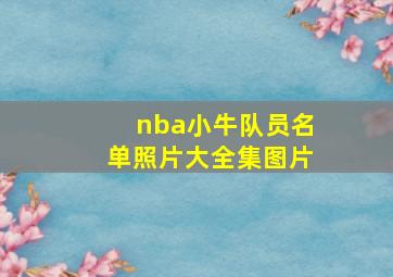 nba小牛队员名单照片大全集图片