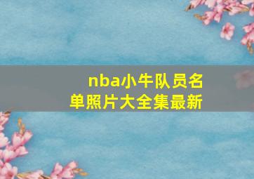 nba小牛队员名单照片大全集最新