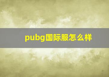 pubg国际服怎么样