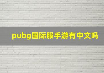 pubg国际服手游有中文吗