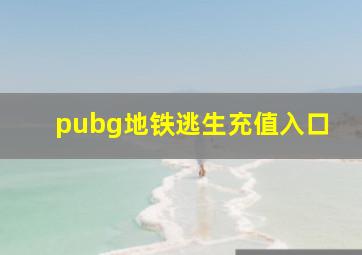 pubg地铁逃生充值入口