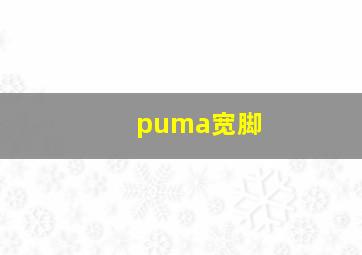 puma宽脚