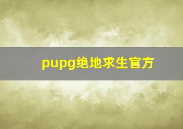 pupg绝地求生官方