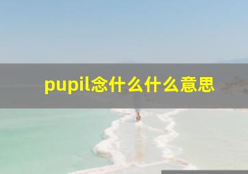 pupil念什么什么意思